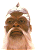 Cairon, der weise Arzt